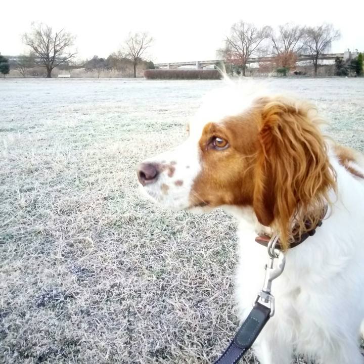 055a98b9 553c 43ff b63f 5201098adee1