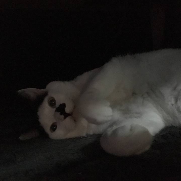 055aeb09 f5b1 40ba 82c3 2e075cc28e87