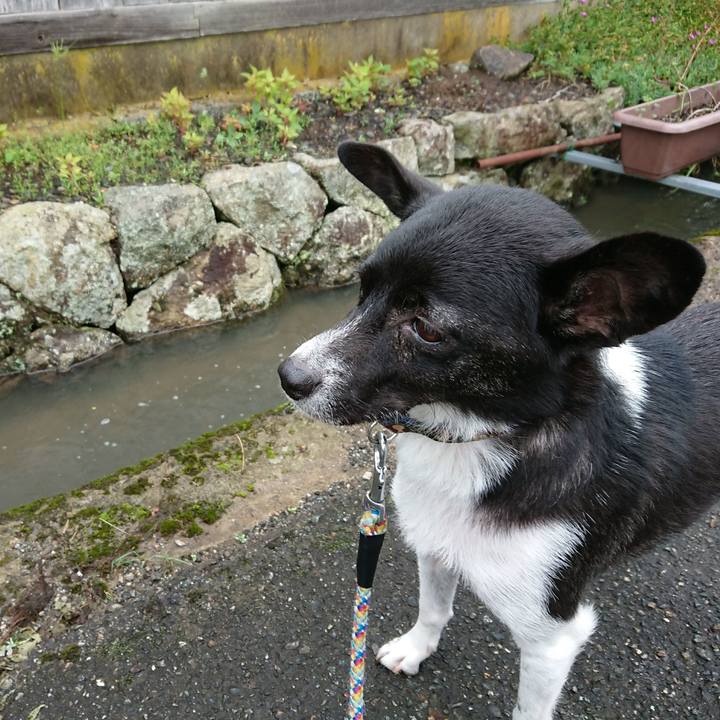 055b0a5d 6041 43de a28b 9fbec751c8aa