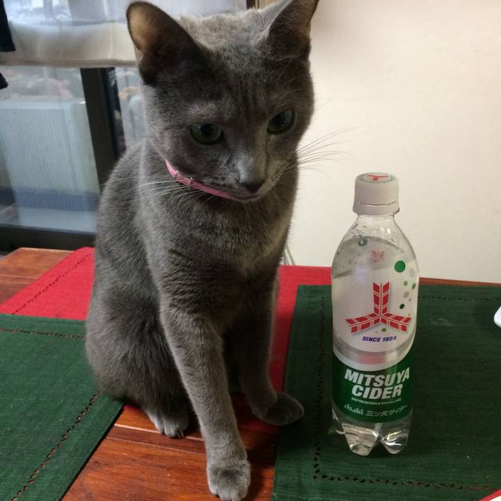 055b40a4 4970 4c0f 901c 86a02997eba7