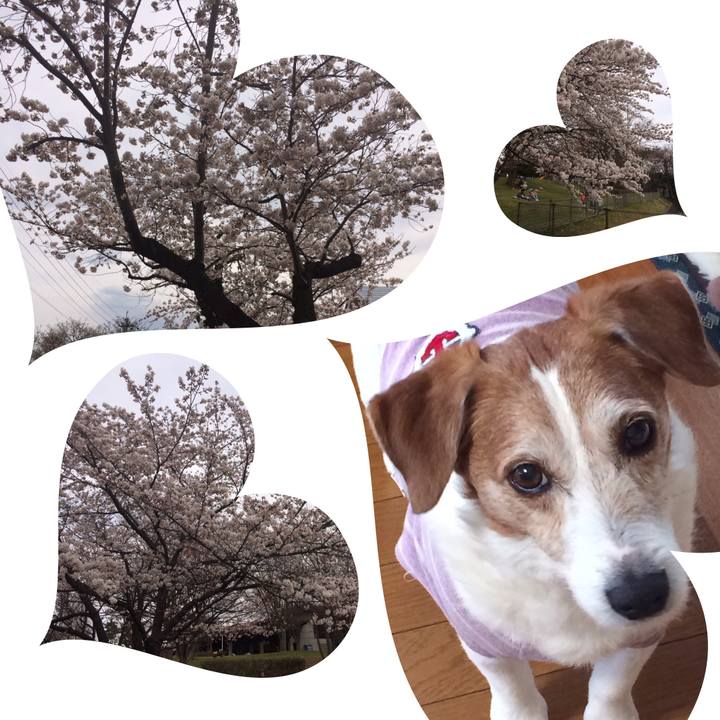 055bb1a5 70b8 43cf 9793 f2c994cf69e6