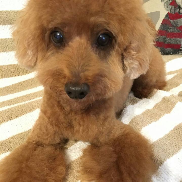 055bf7e8 9f81 47c1 a10b 4e1cc98fd7b3