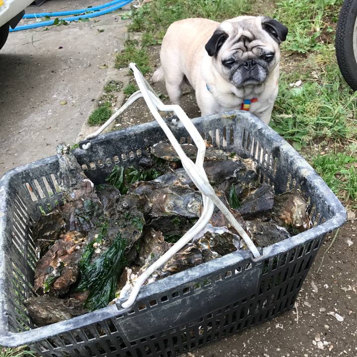 055d1e66 2acd 4c3f b417 1ecce038da71