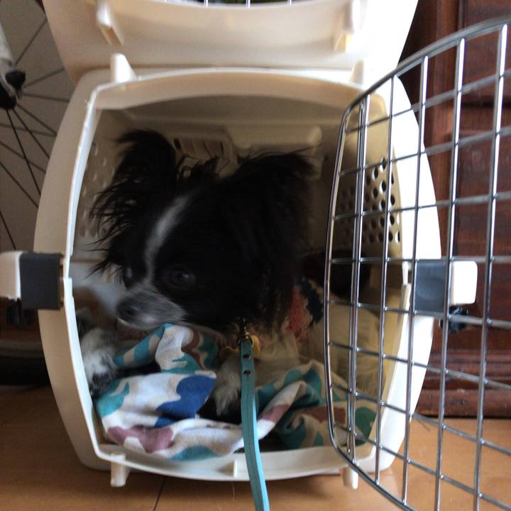 055d76b7 135d 4dd9 b535 db0983d08554