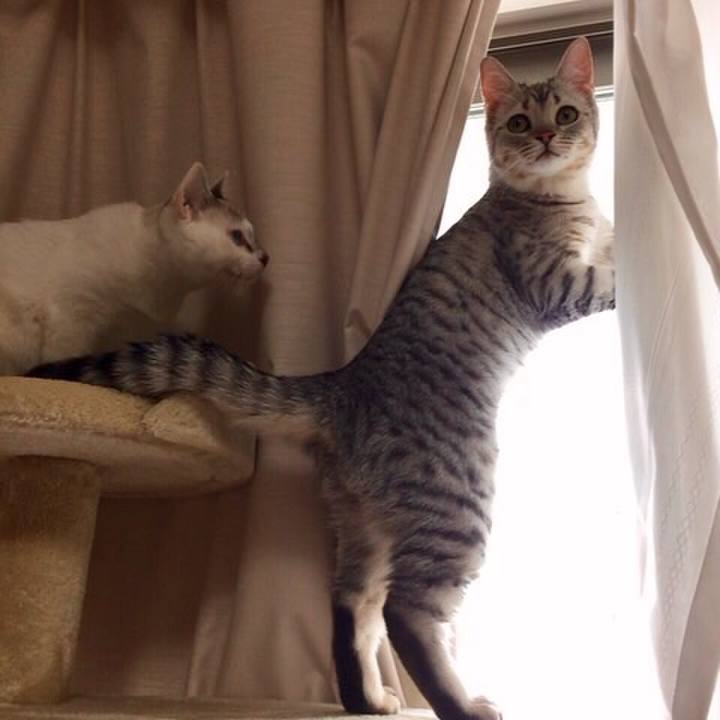 055e5dc4 cb8f 43c9 be56 4040582a0116