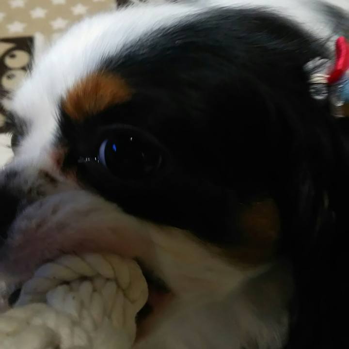 055eff9e 2c43 4590 9d44 a3480f93b933