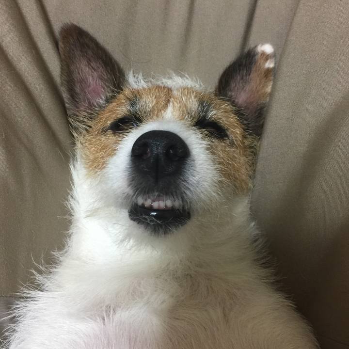 055f504d a73d 402a 95f4 12832ba93632