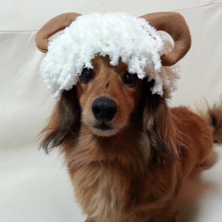 055fa251 7b39 4abd a107 11646cdd1cc0