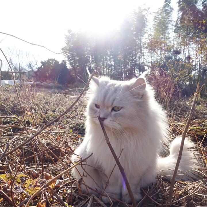 05600ba4 a92e 4d53 adf7 a112e174531a