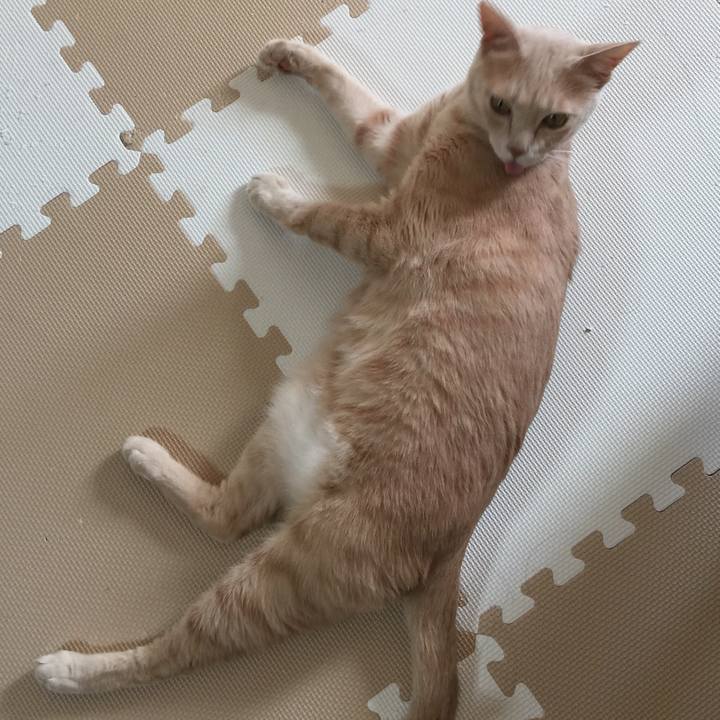 0560d510 4b4e 4052 b459 adbd4ef8ab4d