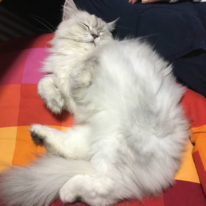 05612c1a f3ac 42e3 92ca bf1a69d1f72b