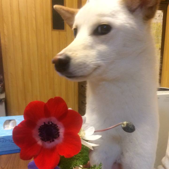 05616e25 9006 48b9 adfc 60881b3ef66a