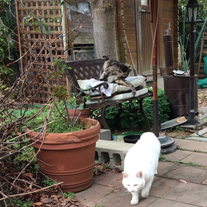 05617ab2 e36a 409b 9471 793e081a5451