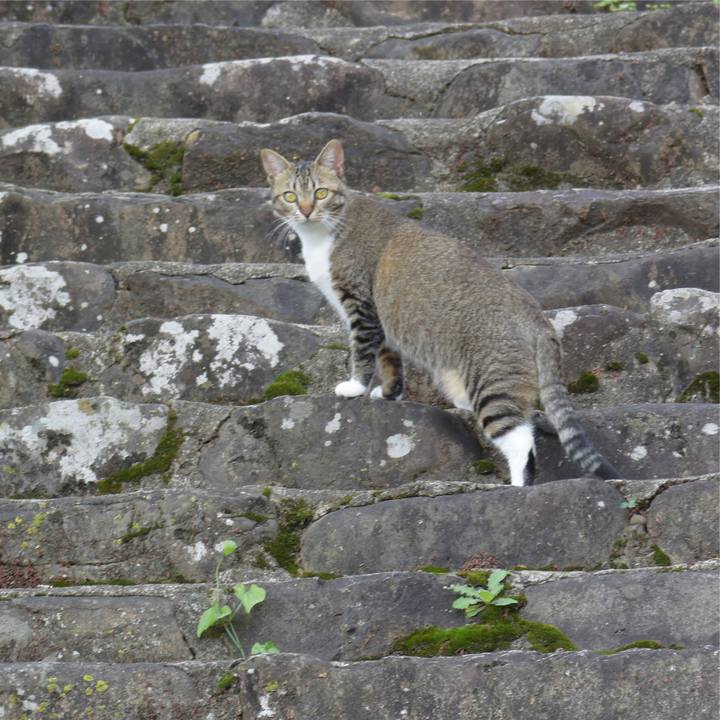 0562ddda a402 4e84 871b 2fb1d3987c71