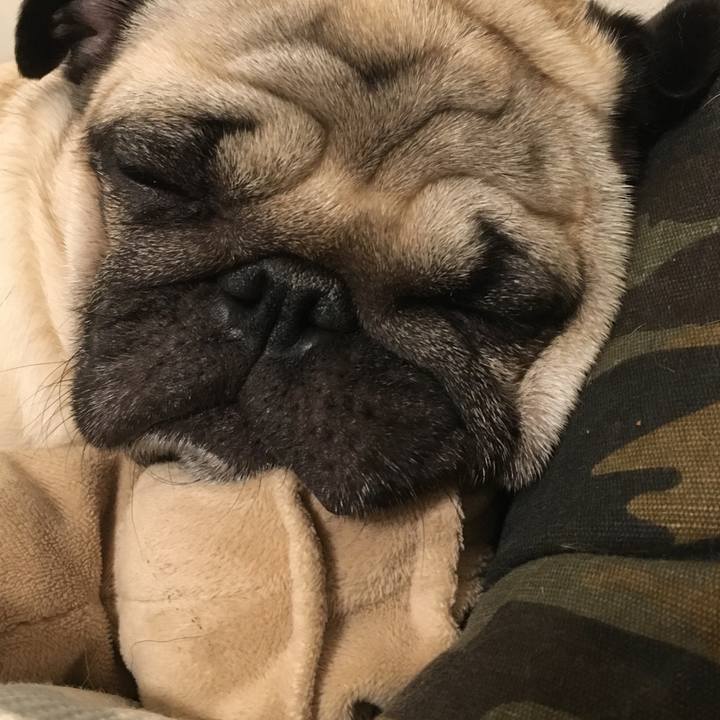 0564769c e1be 496e ac1f 4c1433970c42