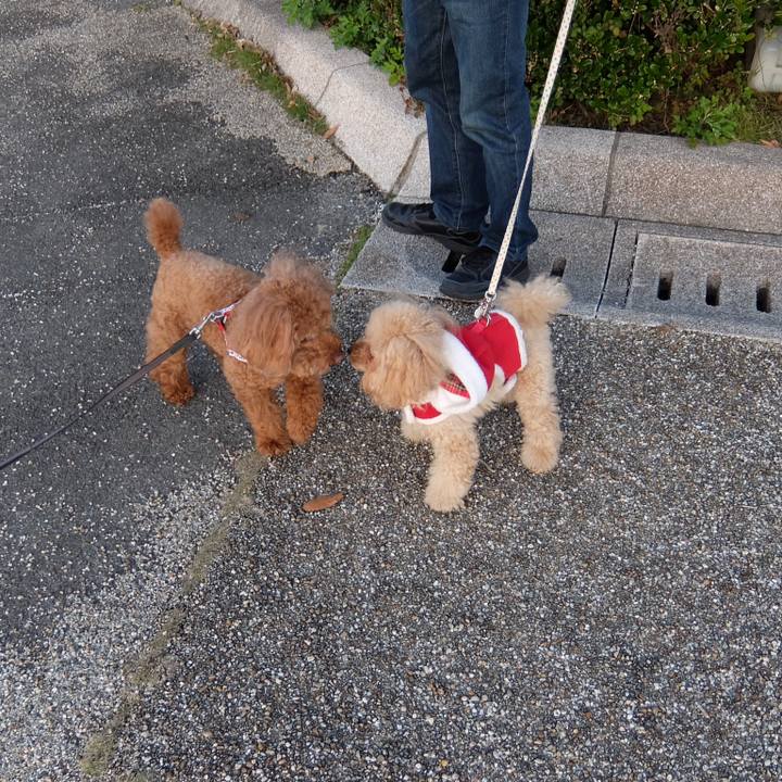 0564f339 0ed9 403b 91e9 f899d7bf5702