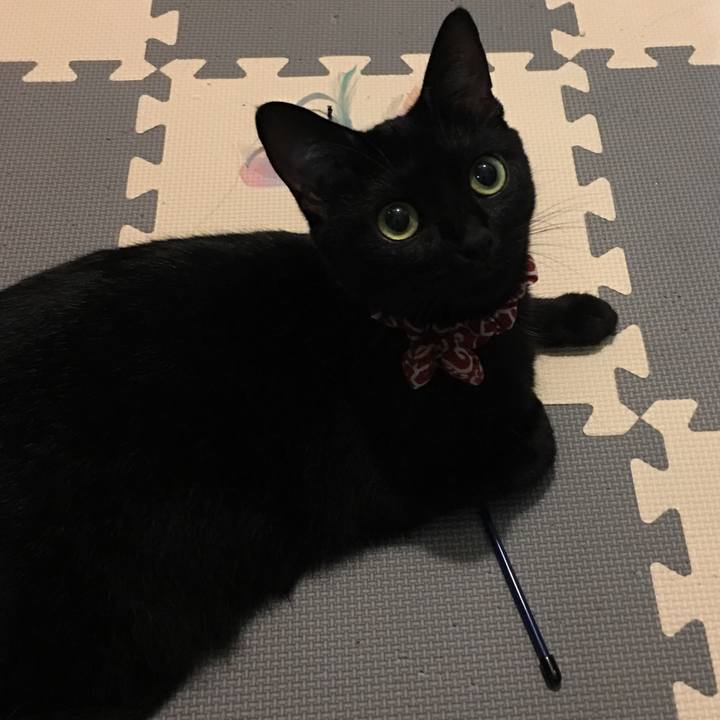 05652d04 2d74 40ae 82ff 2c480ac7e4b4