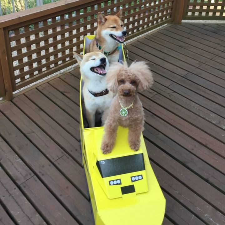 05653dd8 d3a2 4dfe ae3b 05d73a61fb12