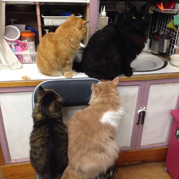 0565c55d afcc 48ed b093 dd23c8420290