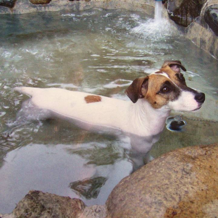 05662312 b757 4a2e bf76 7de3e105d7fa