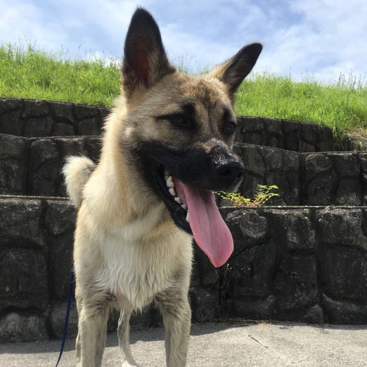 056654b2 9f04 4dae af83 bb2abefcc6d5