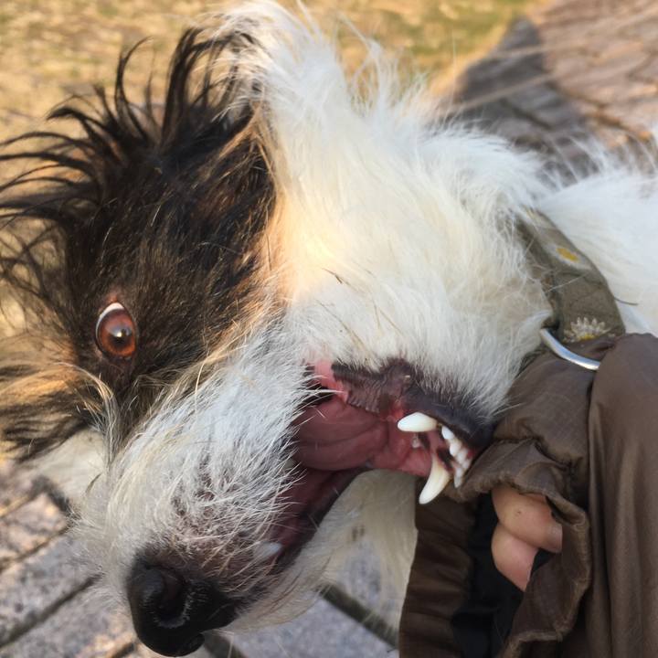 0566753d 7ec4 4998 ac4f 4805f9f604bf