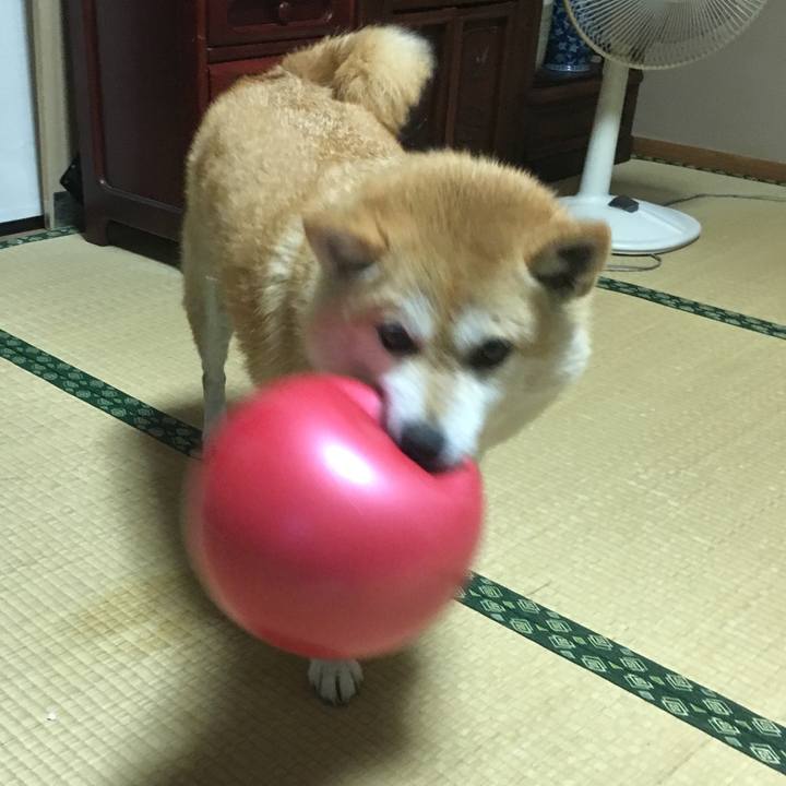 0567525b 8417 4f0f 873e 335ae4adb4f8