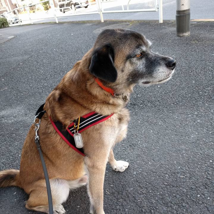 05678b14 1e4c 4b95 a21a 7248327e419e