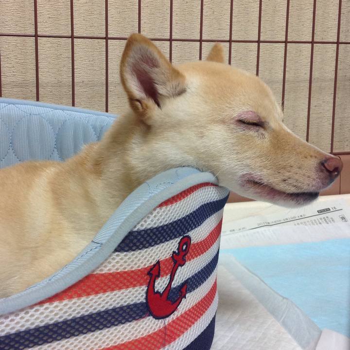 05678b4d d360 4de3 9089 0da190d05ce1