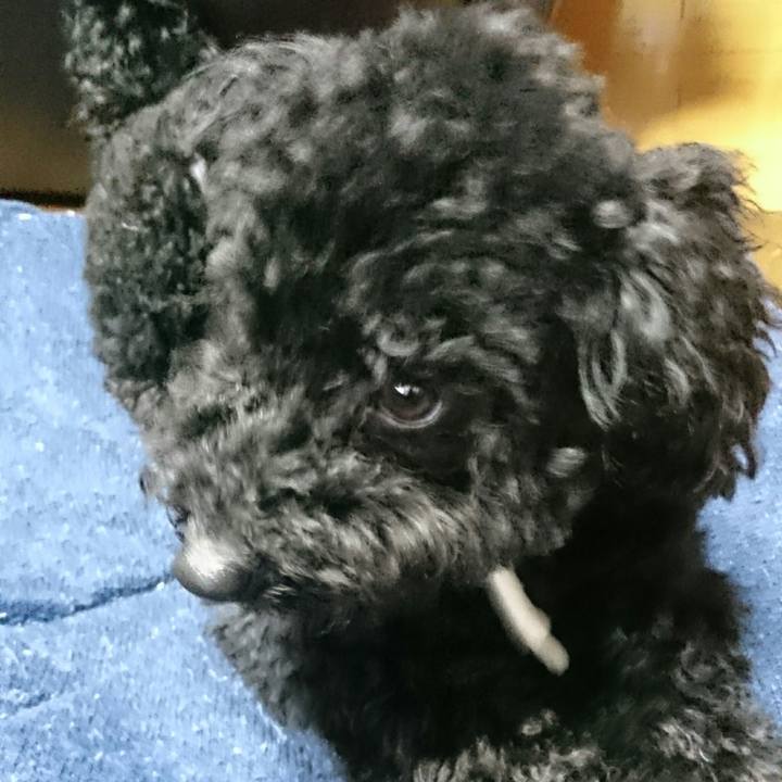 0567bea4 06cb 43d4 a2da 34a5c49ae282