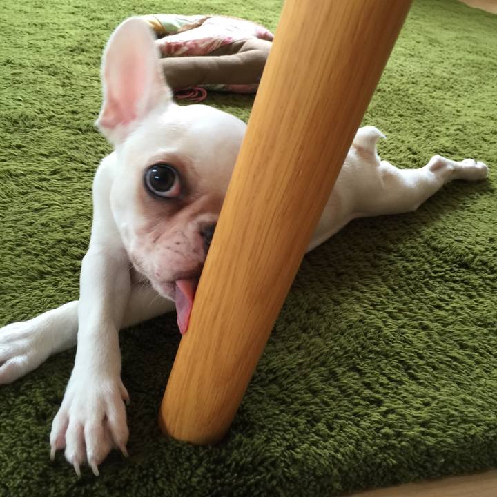 0568885f 0c7a 4833 addd 71af13065963