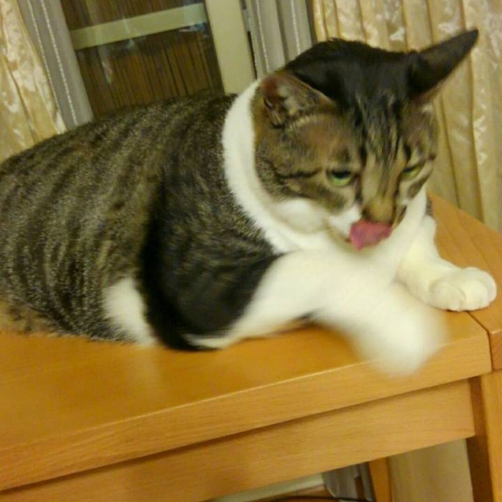 0568aa20 aa53 4035 930d d9c8734b1dff