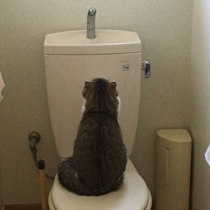 0568bc4a 2971 4b89 a3c3 53020d84fcc9