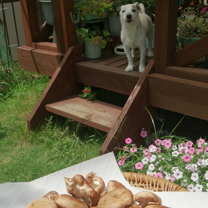 0568e3e8 28fe 4a75 af7a ebb7ef6d888e