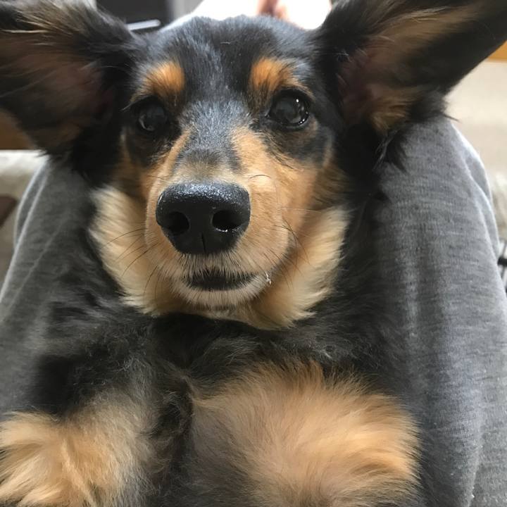 056966c5 6e51 4fbf 8b3d 2094a495fd9d