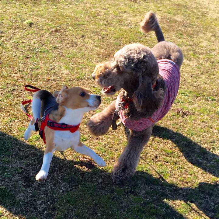 0569d776 0e7a 4923 8e97 417ef505a605