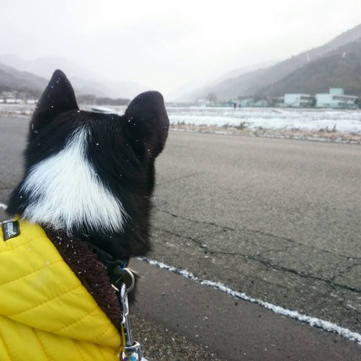 056ac979 ecd8 4630 b258 57ab82473977