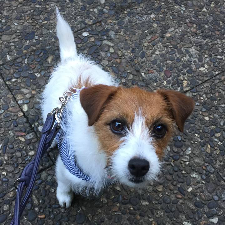 056c94d9 49f1 44d1 83ea a7af30c0d163