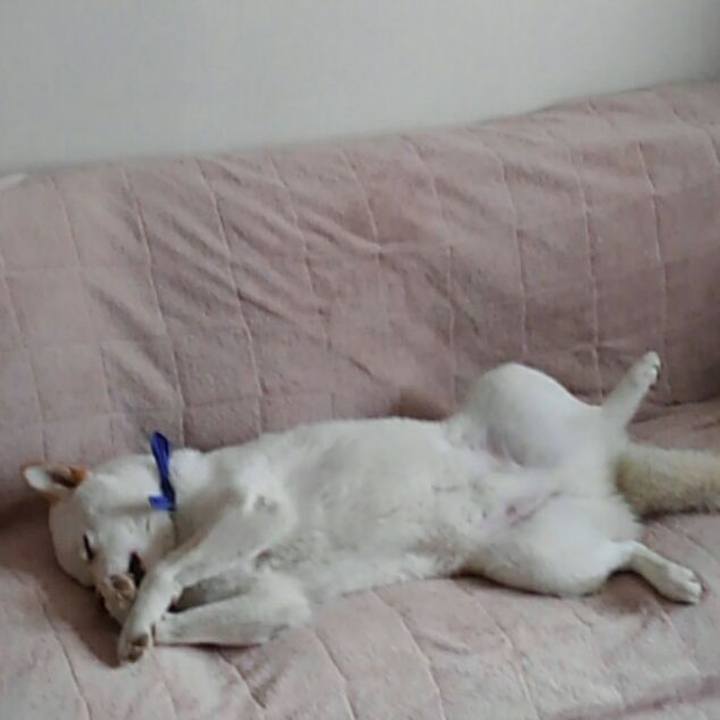 056d3b89 7e95 4f7a 859f 47765f5f858d