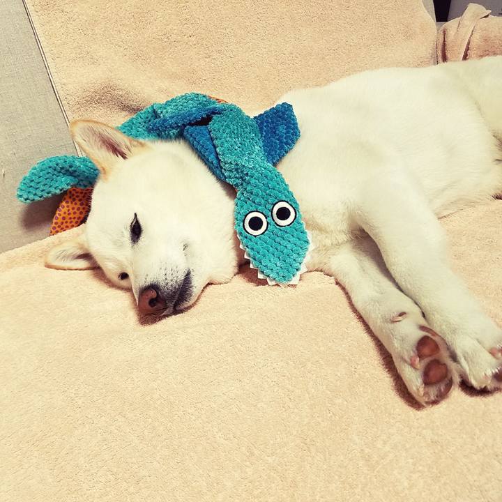 056d4255 fb5d 45d0 803a 44f608eae710