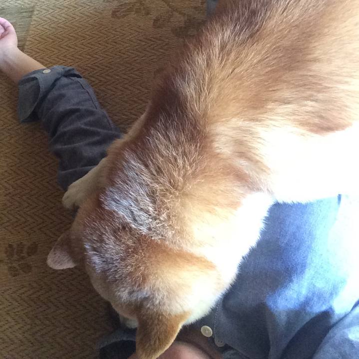 056d7def b095 4d58 bf7f c252ed1e11ff