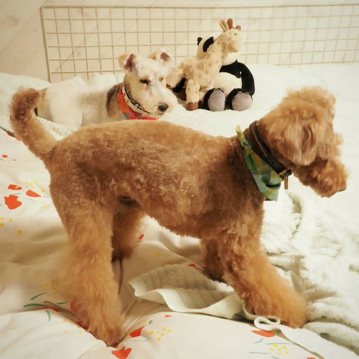 056f3027 19a0 4a59 b5bf d48dcd4f4ba7