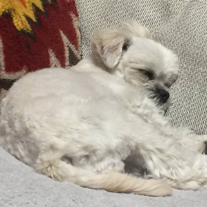 056f5fd1 49e9 42e7 90f1 b98c68256d59