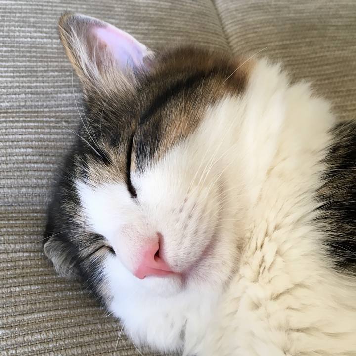 056f634c 6703 4bb6 be6b 8d80568d2f61