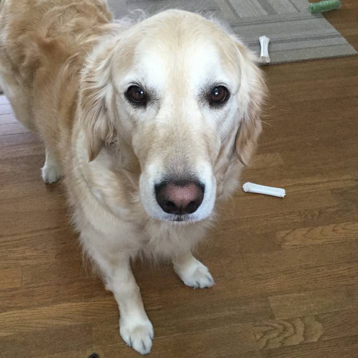 056fc09c 8d9e 4296 933b 2c4e1c29425a