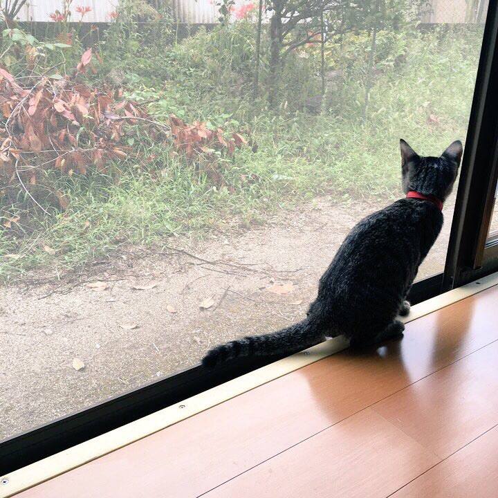 05708209 8305 48a1 a1fe 12d7964d56be