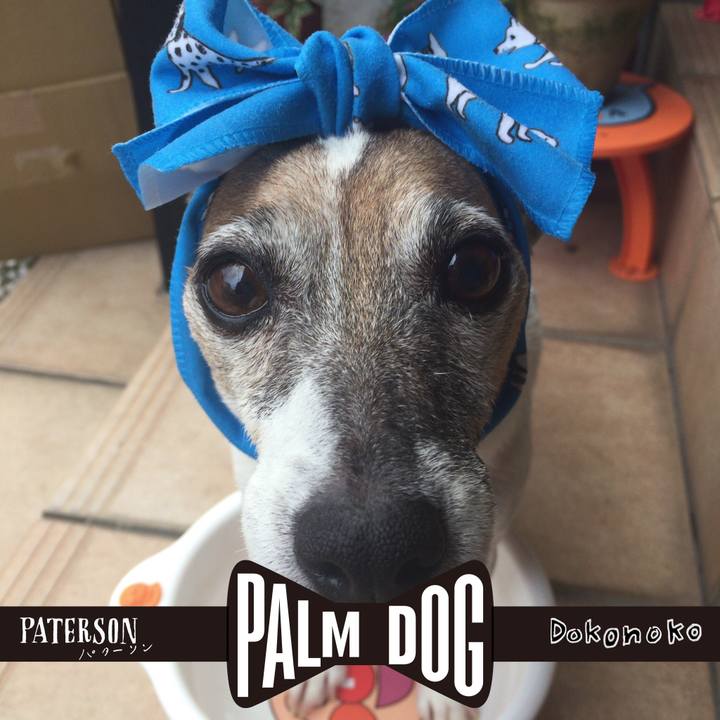 057155bb 7a73 45db ae4e 202d638277e8