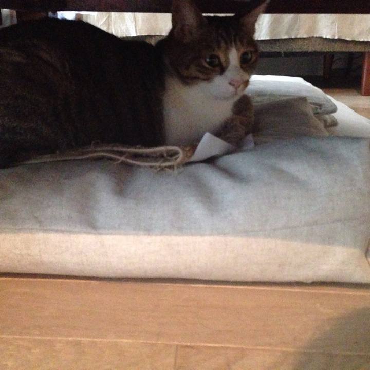 0571696e 41ba 43f9 9672 a1a6fac946bd