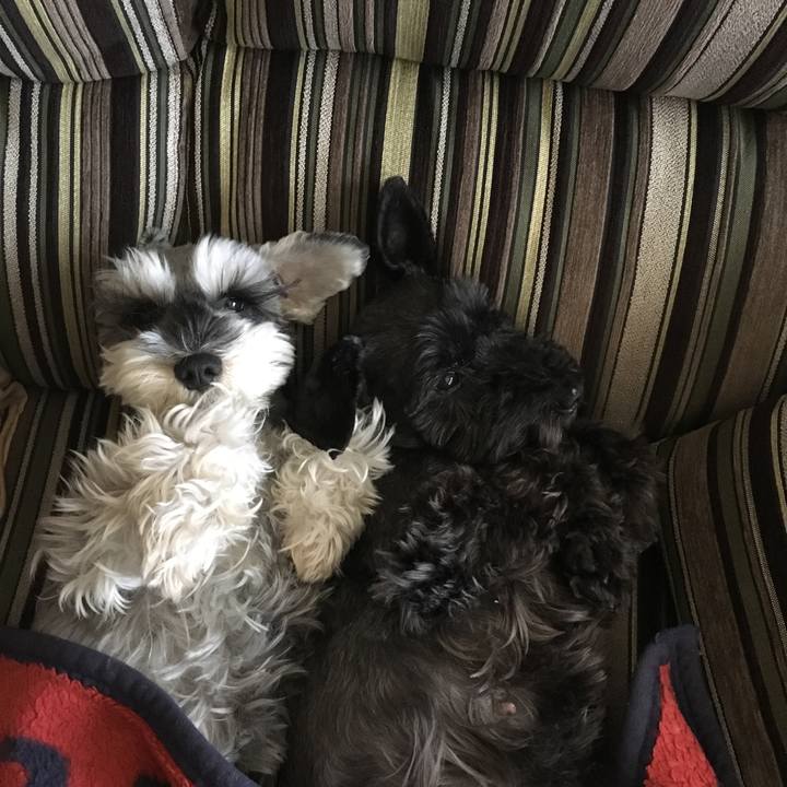 05719bfa c79d 4b93 95f4 d3110015cbd1