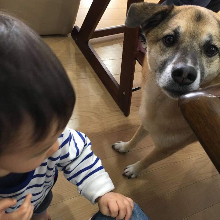 0571cb70 ff1f 4714 828f a117f2d5339d